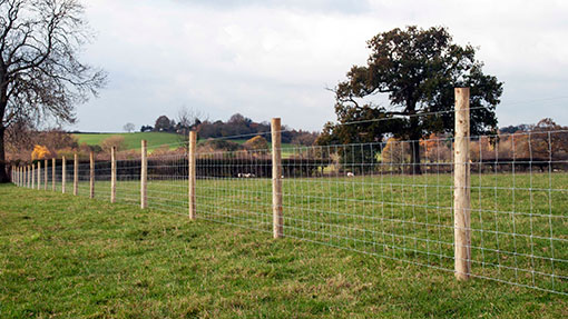 Field Fencing