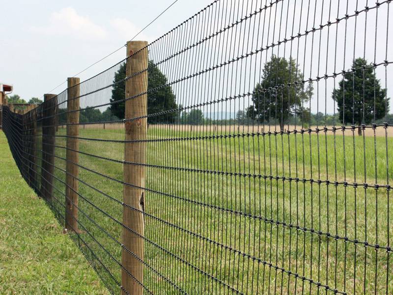 field fencing