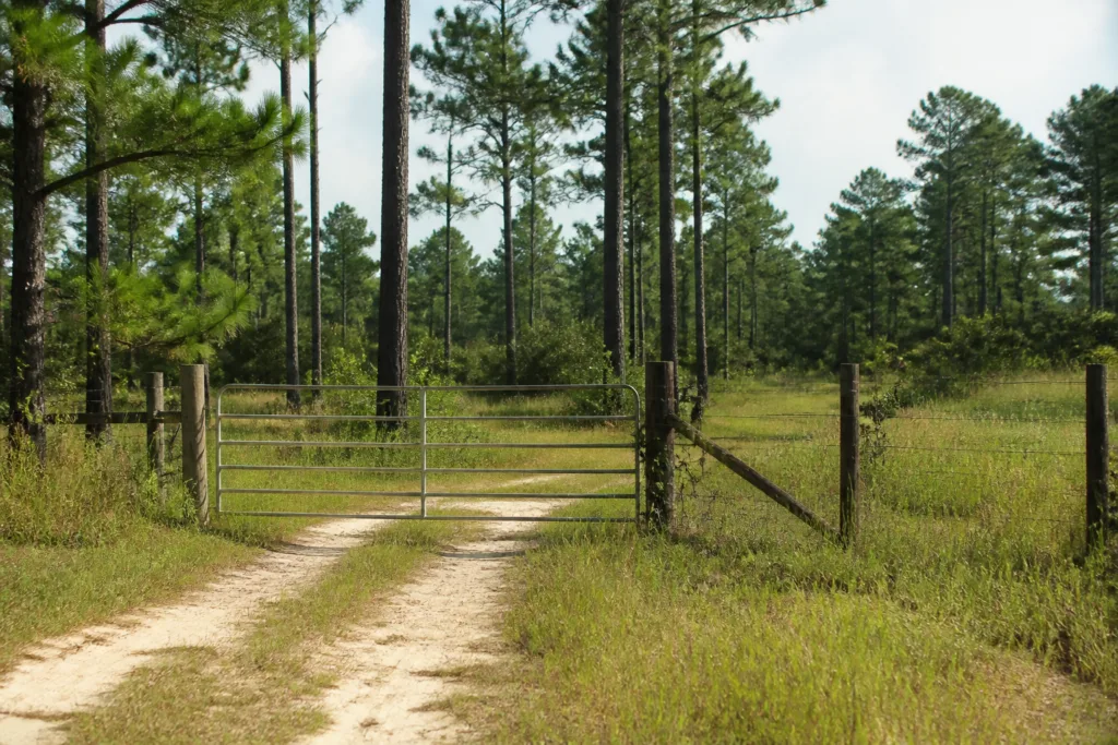 Commercial Gate Access Maintenance for Conroe Businesses featured image
